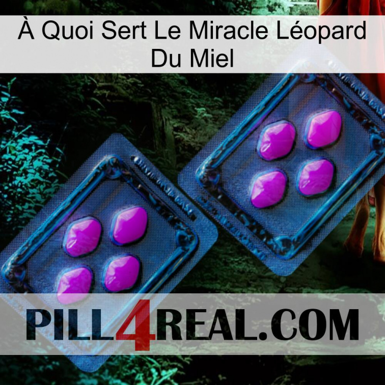À Quoi Sert Le Miracle Léopard Du Miel 03
